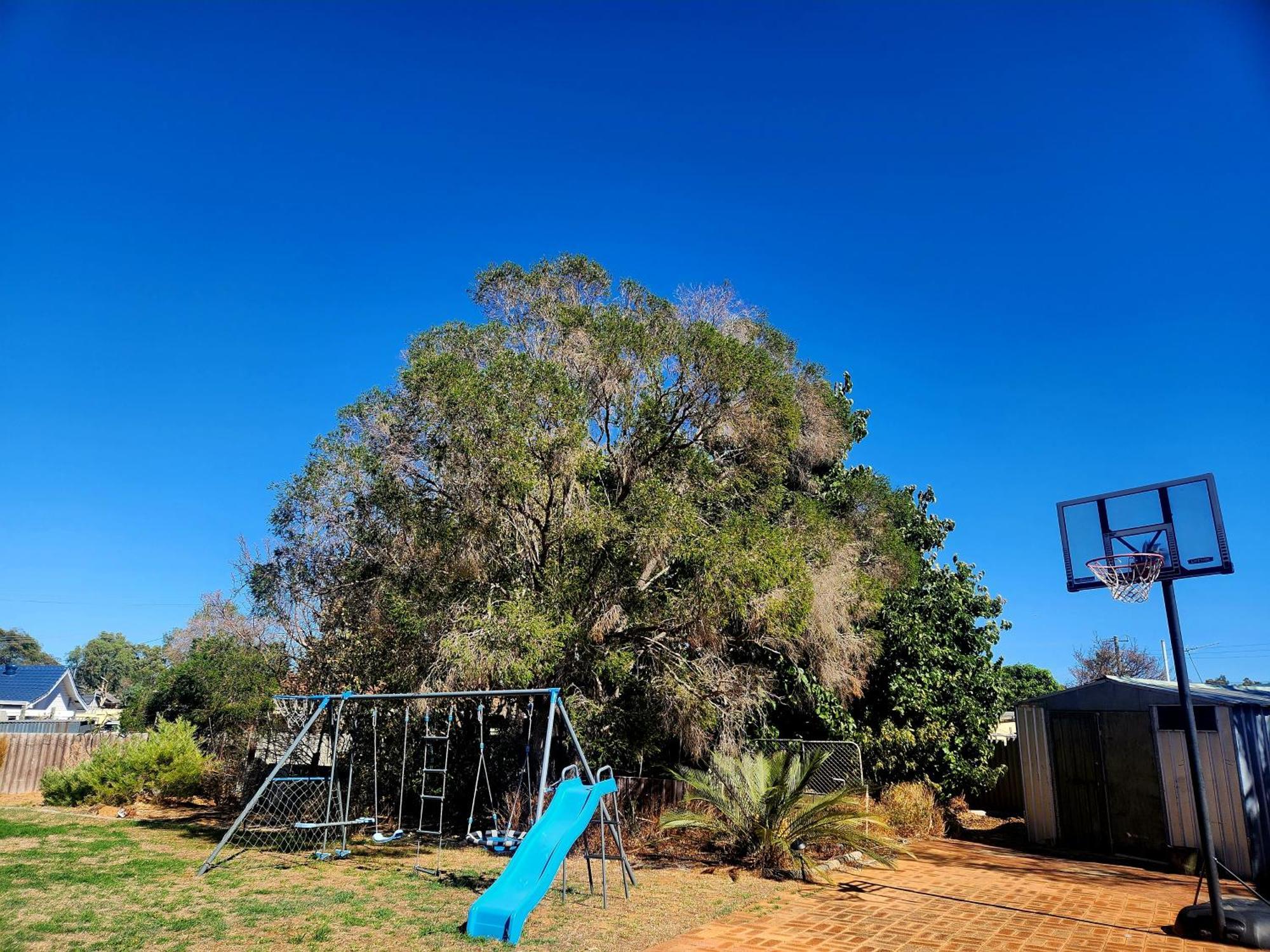 Peaceful And Tranquil Get-Away Home Kelmscott Exterior photo